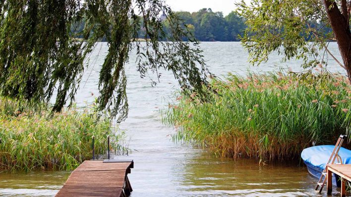 Großteil des Wandlitzer Sees (Barnim) steht zum Verkauf  | rbb24